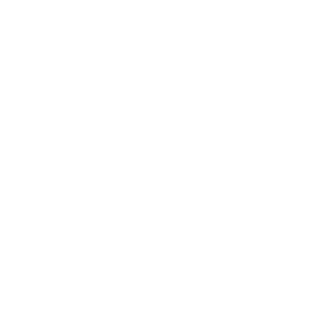 Brandon Bobcats