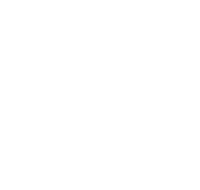 Brandon First